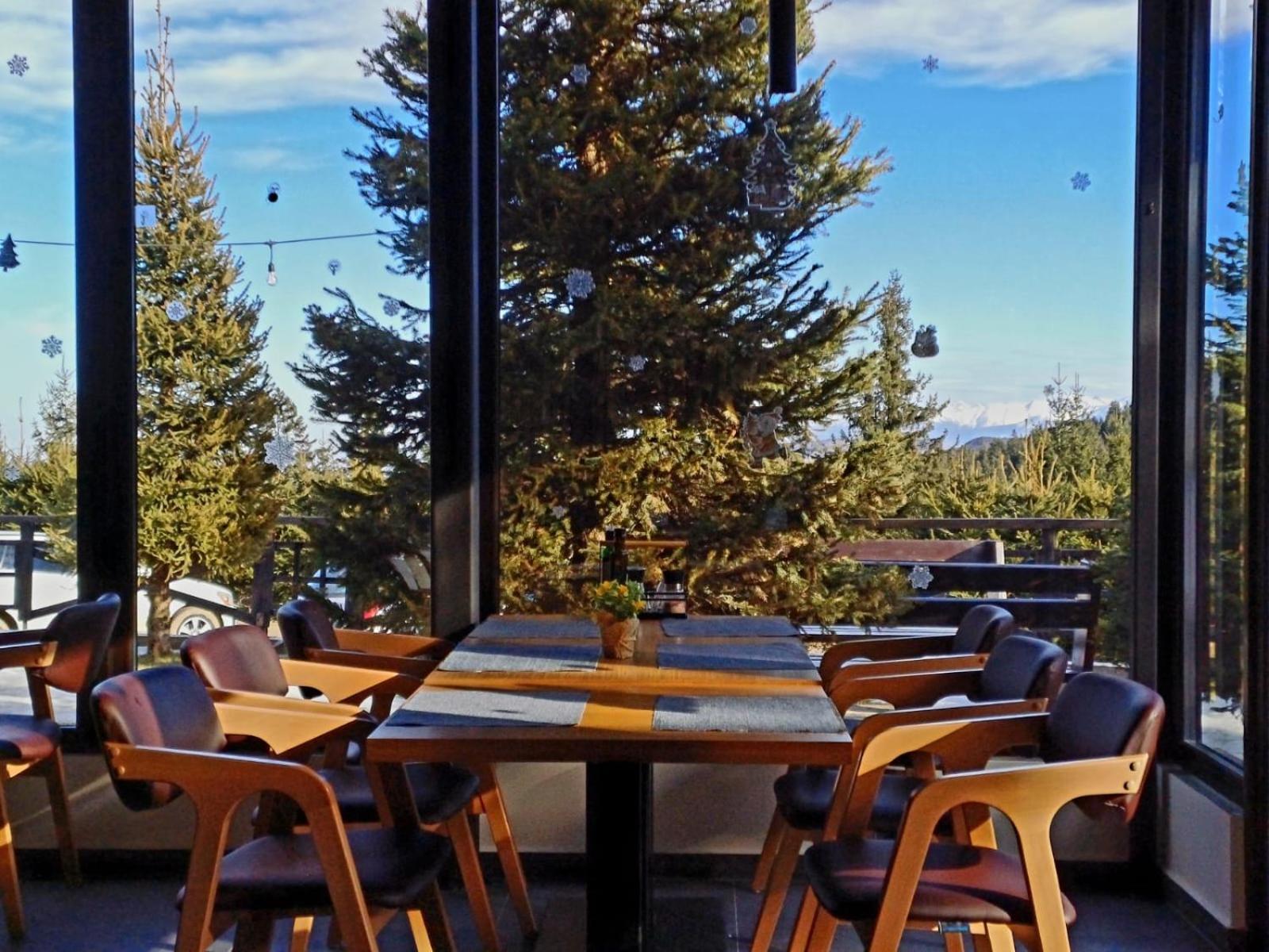 Pensiune & Restaurant Victoria Păltiniş Eksteriør billede